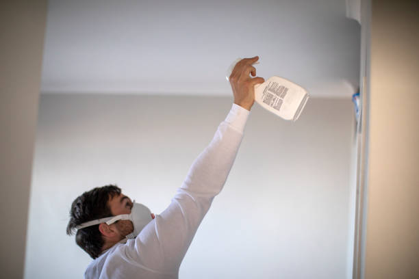 Best DIY Mold Remediation Support Services in Parkville, MO