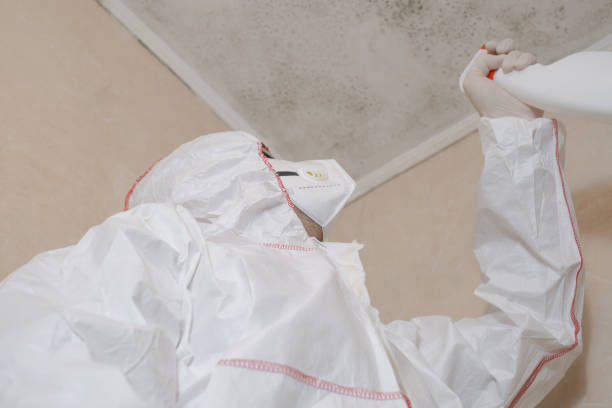 Best Mold Remediation for Schools in Parkville, MO
